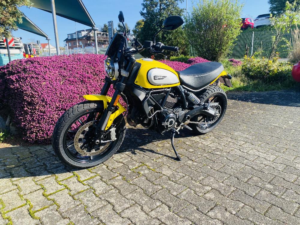 Motorrad verkaufen Ducati Scrambler 800 Icon Ankauf